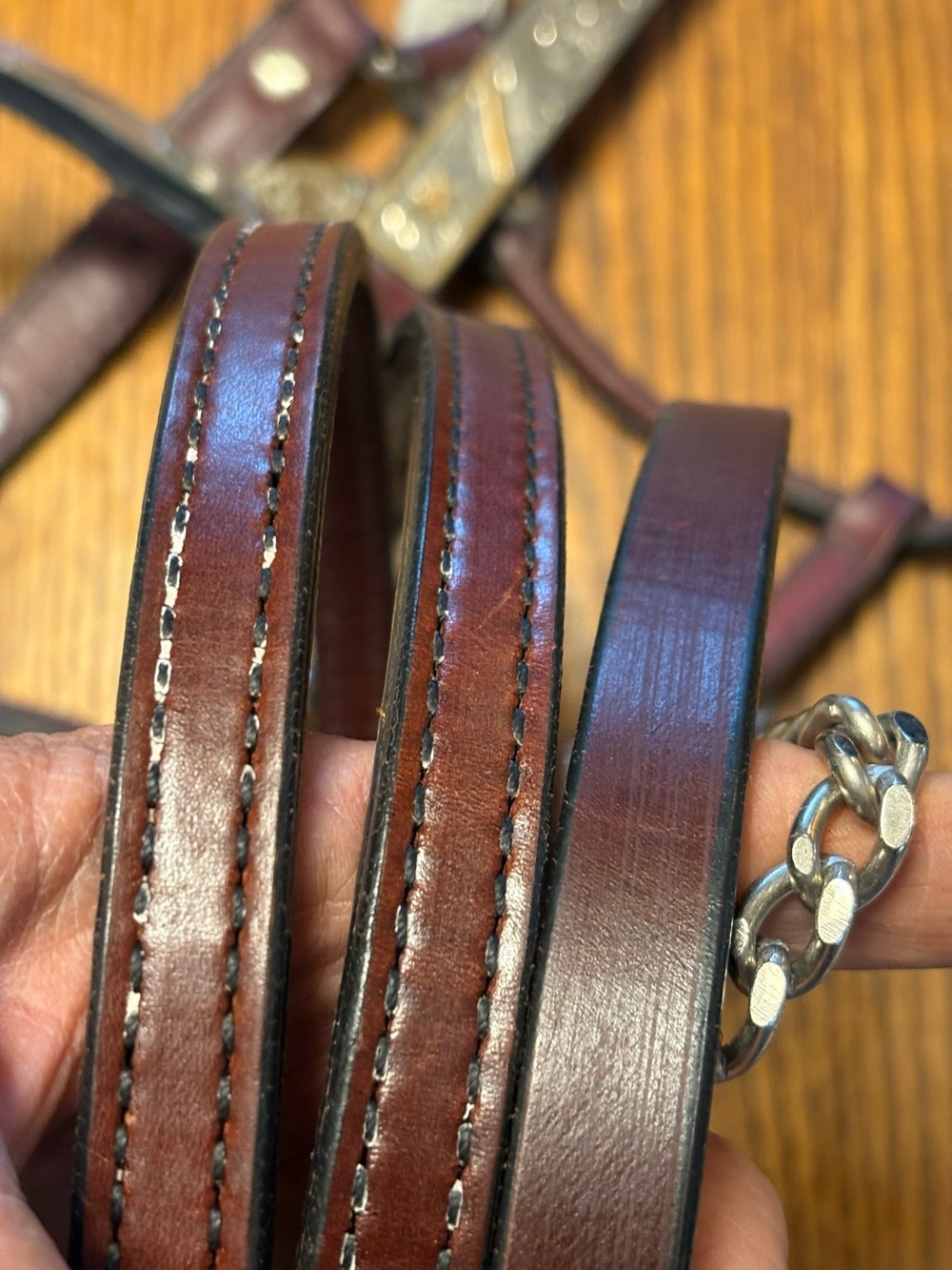 Horse Tack Circle Y Western Silver Show Halter and Lead - Picture 9 of 11